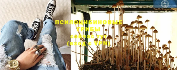 спайс Лиски