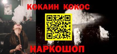 гашик Кингисепп