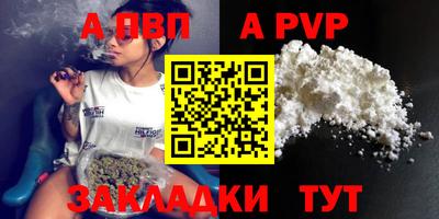 гашик Кингисепп