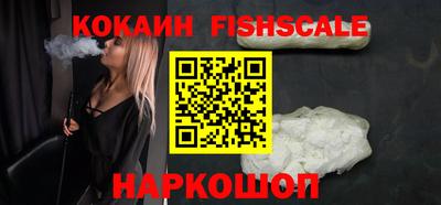 гашик Кингисепп