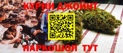 гашик Кингисепп