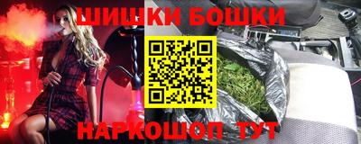 гашик Кингисепп