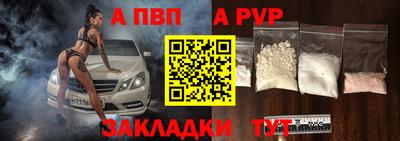 гашик Кингисепп