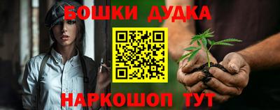 гашик Кингисепп