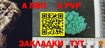 гашик Кингисепп