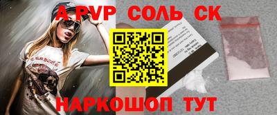 гашик Кингисепп