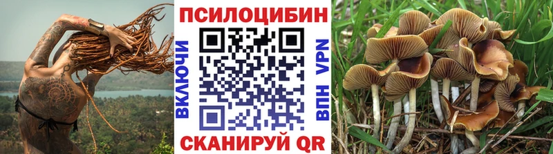 Псилоцибиновые грибы GOLDEN TEACHER  купить наркотик  Нерюнгри 
