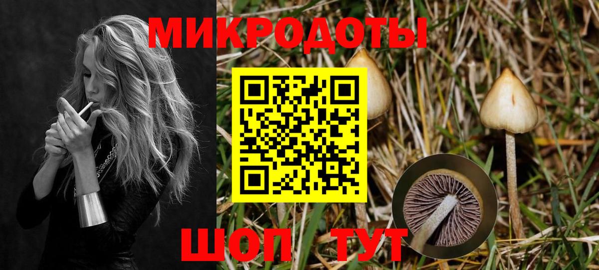 Галлюциногенные грибы Psilocybine cubensis  Псилоцибиновые грибы GOLDEN TEACHER  Вход с VPN  Нерюнгри 