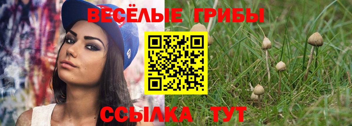 Галлюциногенные грибы Psilocybe Нерюнгри