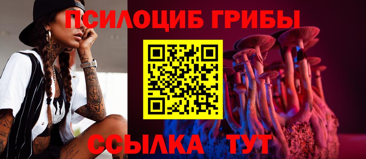 Псилоцибиновые грибы Cubensis Нерюнгри